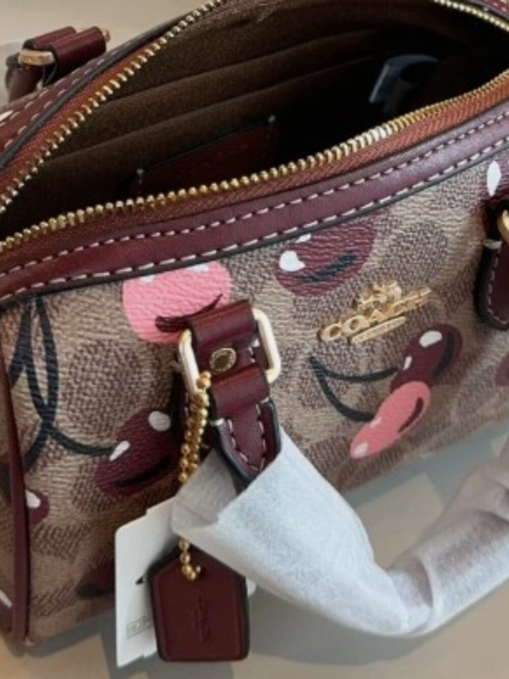 NWT COACH Rowan mini–Satchel Bag In Signature Canvas with Cherry Print - Picture 9 of 9